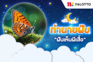 ฝันเห็นผีเสื้อ ตัวใหญ่ เยอะมาก ๆ ตีเลขเด็ด และคำทำนายความฝัน