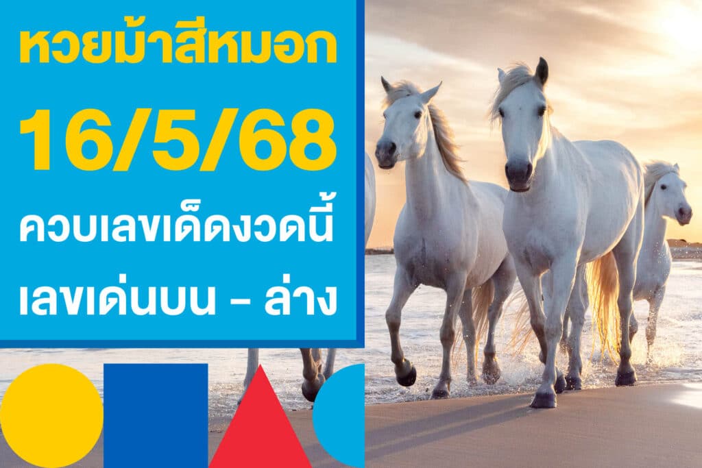 หวยม้าสีหมอก 16/5/68 ควบเลขเด็ดงวดนี้ ครบทั้งเลขเด่นบน - ล่าง